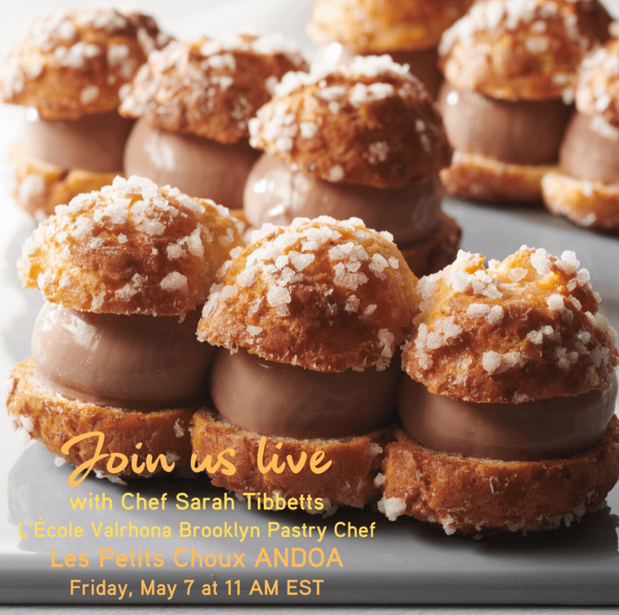 Announcing IG Live with Sarah: Les Petits Choux ANDOA