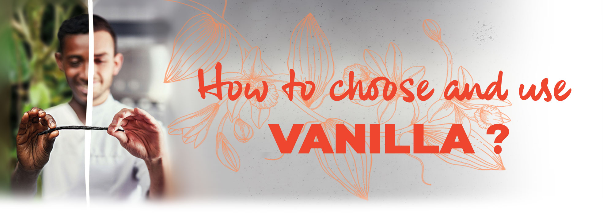 How to choose and use Vanilla ?