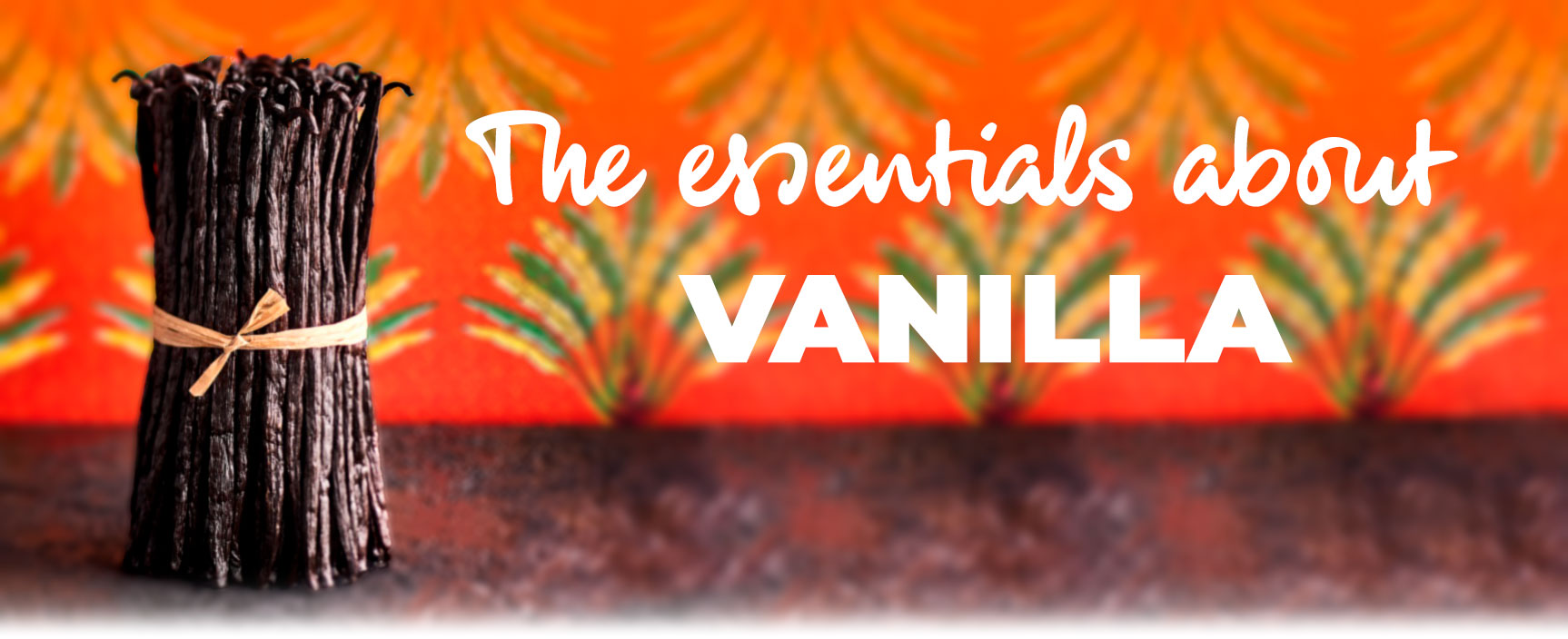 The essentials about Vanilla