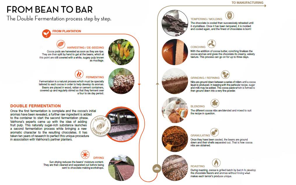 What Is Double Fermentation Article Valrhona Chocolate